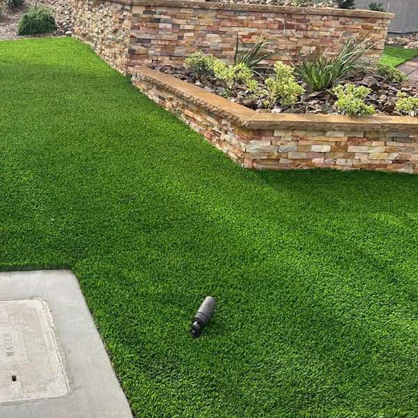 landscaping avondale B1.jpg