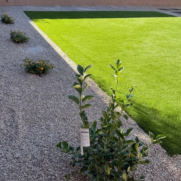 landscaping claremont B2.jpg landscaping carslbad B2.jpg