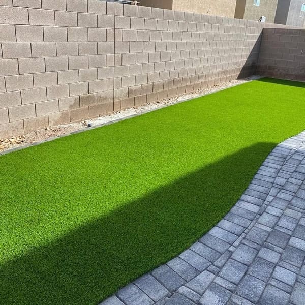 landscaping la mesa B1.jpg landscaping la mesa B1.jpg