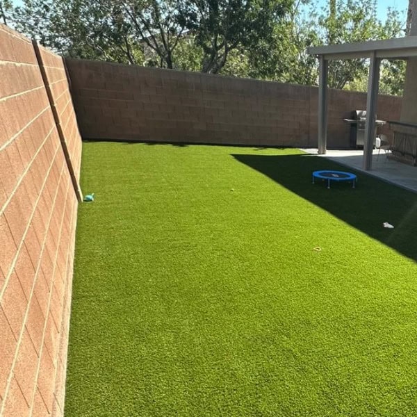landscaping litchfield park B1