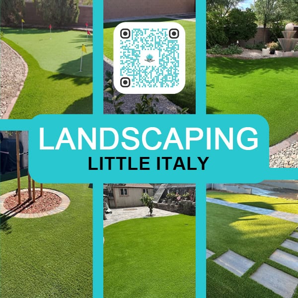 landscaping little italy B1 QR