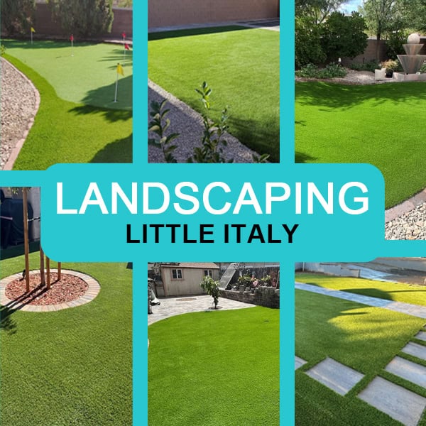 landscaping little italy B1.jpg landscaping little italy B1.jpg
