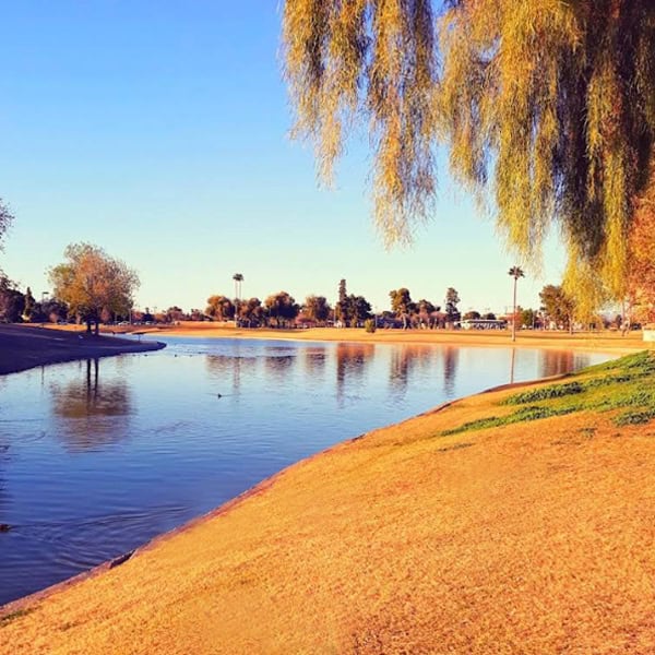 landscaping mesa arizona B2