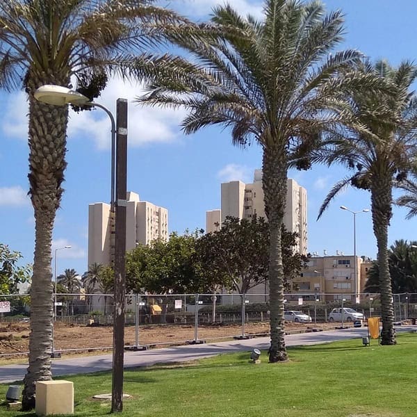 landscaping otay mesa B2.jpg landscaping otay mesa B2.jpg