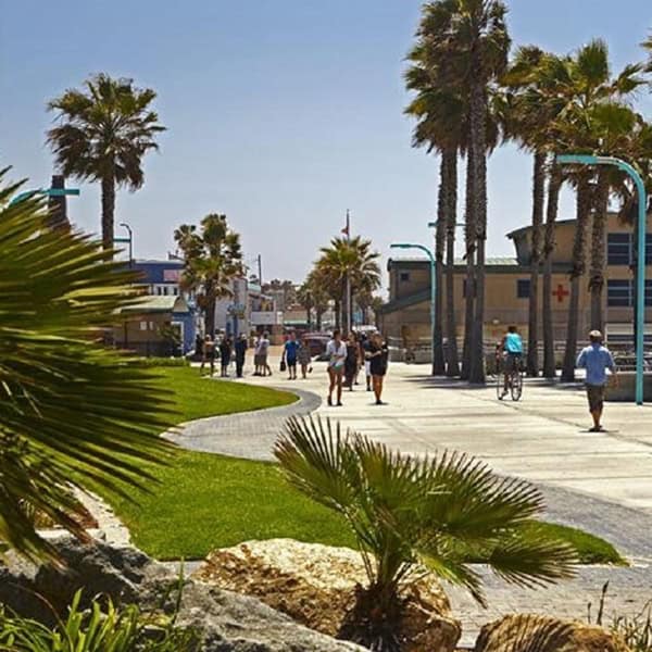 landscaping pacific beach B2 landscaping pacific beach B2