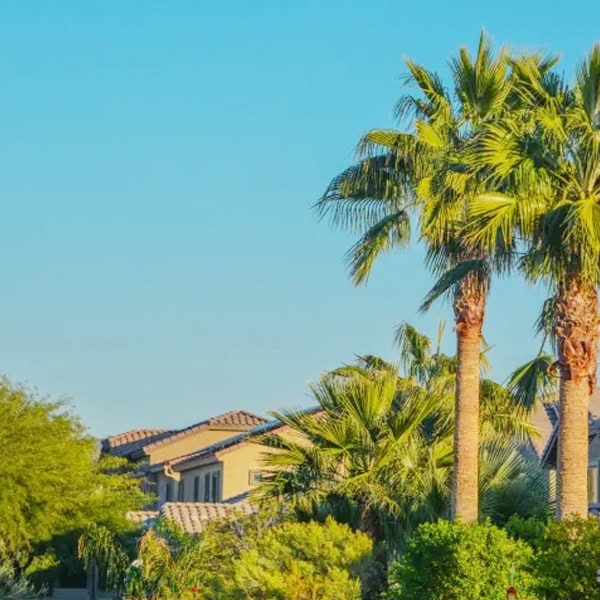 landscaping peoria arizona B2