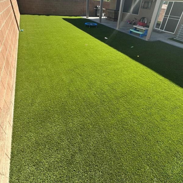 landscaping point loma B2.jpg landscaping carslbad B2.jpg