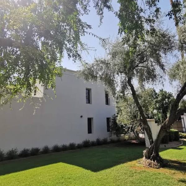 landscaping scottsdale arizona B2